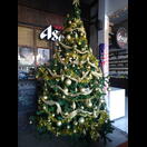 Bei dem hiesigen Wetter würde man sonst vergessen, dass bald Weihnachten ist